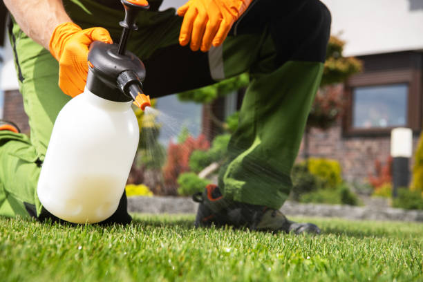 Best Termite Control Services  in East Quogue, NY