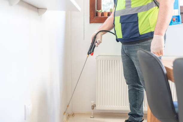 Best Rat Extermination Near Me  in East Quogue, NY