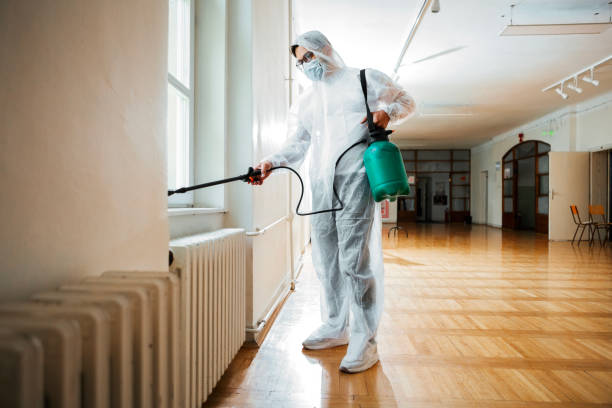 Best Pest Removal Services  in East Quogue, NY
